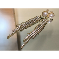 ❄️現貨❄️S925純銀韓系珍珠鑲鑽流蘇耳環 浪漫高級波光粼粼耳環 鑲鑽流蘇耳環 小眾輕奢風 珍珠流蘇耳環 珍珠鑲鑽耳針