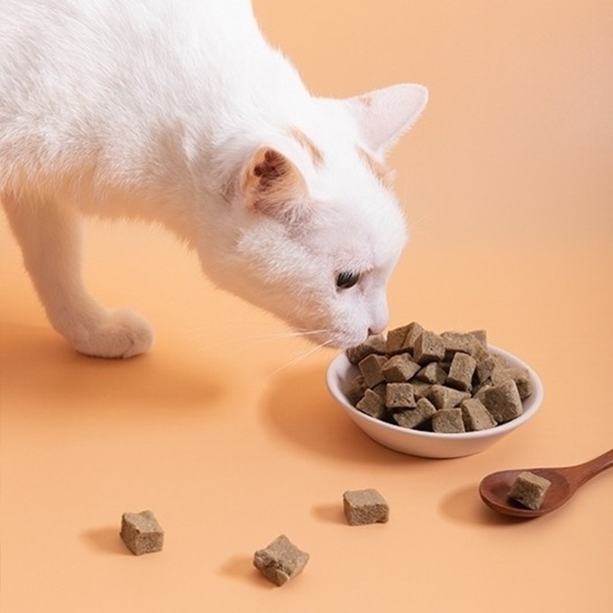 原肉主義寵物凍乾－－－鰻魚凍乾(蚵仔/鮸魚/雞肉) ⭐ 爆款推薦｜冷凍乾燥鰻魚貓零食 台灣製冷凍乾燥鰻魚-細節圖3