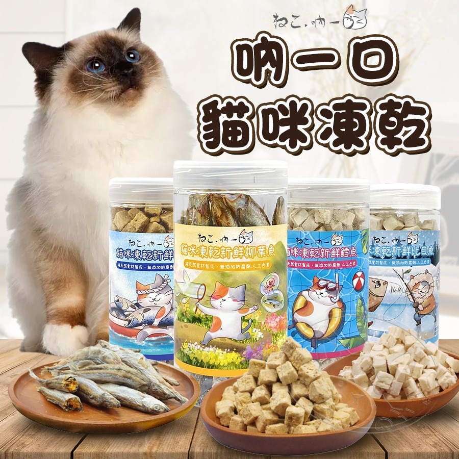 【WangLife】Neko 吶一口 貓用凍乾 貓零食 寵物零食 貓凍乾 韓國製造 海鮮凍乾 天然凍乾-細節圖3