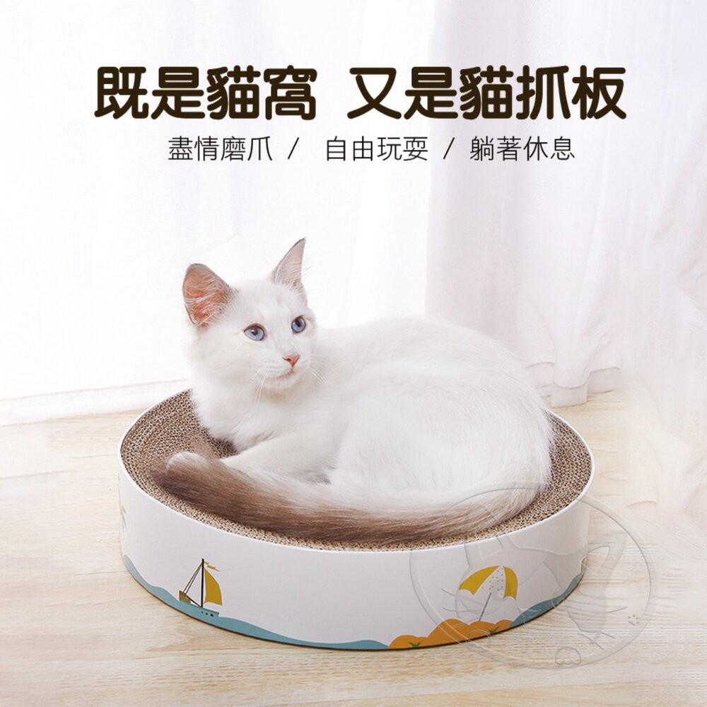 【旺生活】貓咪專屬磨爪樂趣！超大圓盤型貓抓窩 貓咪最愛的遊戲玩具 貓咪專用圓盤型貓抓板 愛上磨爪-細節圖5