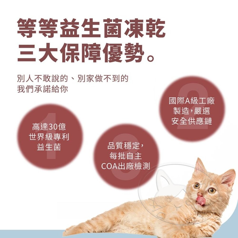 【旺生活】Wait 等等丨貓用 益生菌凍乾 雞肉/鱈魚/牛肉 寵物凍乾 貓咪凍乾 貓零食-細節圖4