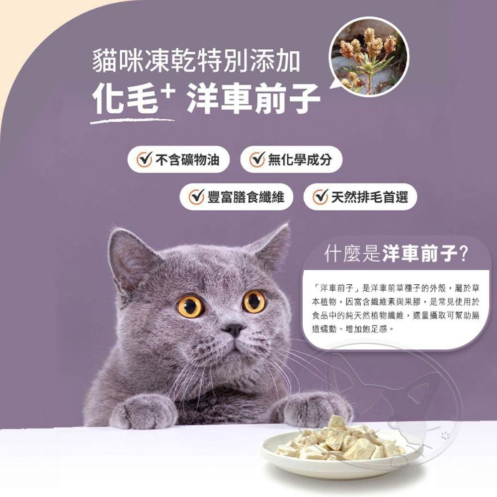 【旺生活】Wait 等等丨貓用 益生菌凍乾 雞肉/鱈魚/牛肉 寵物凍乾 貓咪凍乾 貓零食-細節圖6