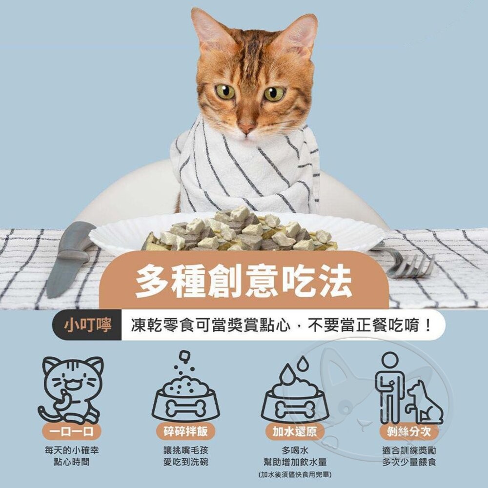 【旺生活】Wait 等等丨貓用 益生菌凍乾 雞肉/鱈魚/牛肉 寵物凍乾 貓咪凍乾 貓零食-細節圖7