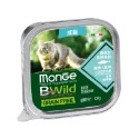【WangLife】瑪恩吉 Monge 真野無榖主食貓餐盒 100g - 螺旋藻 營養 木寡糖 無榖 主食 主食餐盒-規格圖3