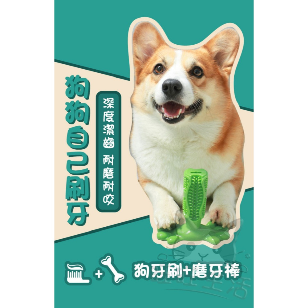 【WangLife】Dog toothbrush 狗狗磨牙棒 寵物潔牙棒 磨牙棒 矽膠磨牙 寵物磨牙刷-細節圖4