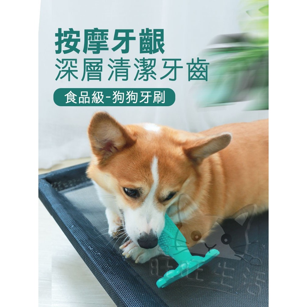 【WangLife】Dog toothbrush 狗狗磨牙棒 寵物潔牙棒 磨牙棒 矽膠磨牙 寵物磨牙刷-細節圖5