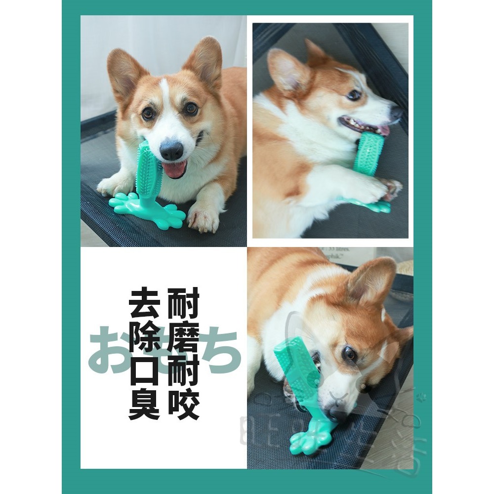 【WangLife】Dog toothbrush 狗狗磨牙棒 寵物潔牙棒 磨牙棒 矽膠磨牙 寵物磨牙刷-細節圖7