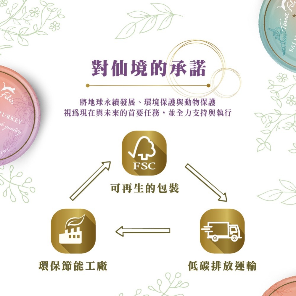 【WangLife】Terra Canis醍菈鮮廚-仙境貓罐 主食罐 無穀罐 主食貓罐 德罐 貓薄荷主食-細節圖7