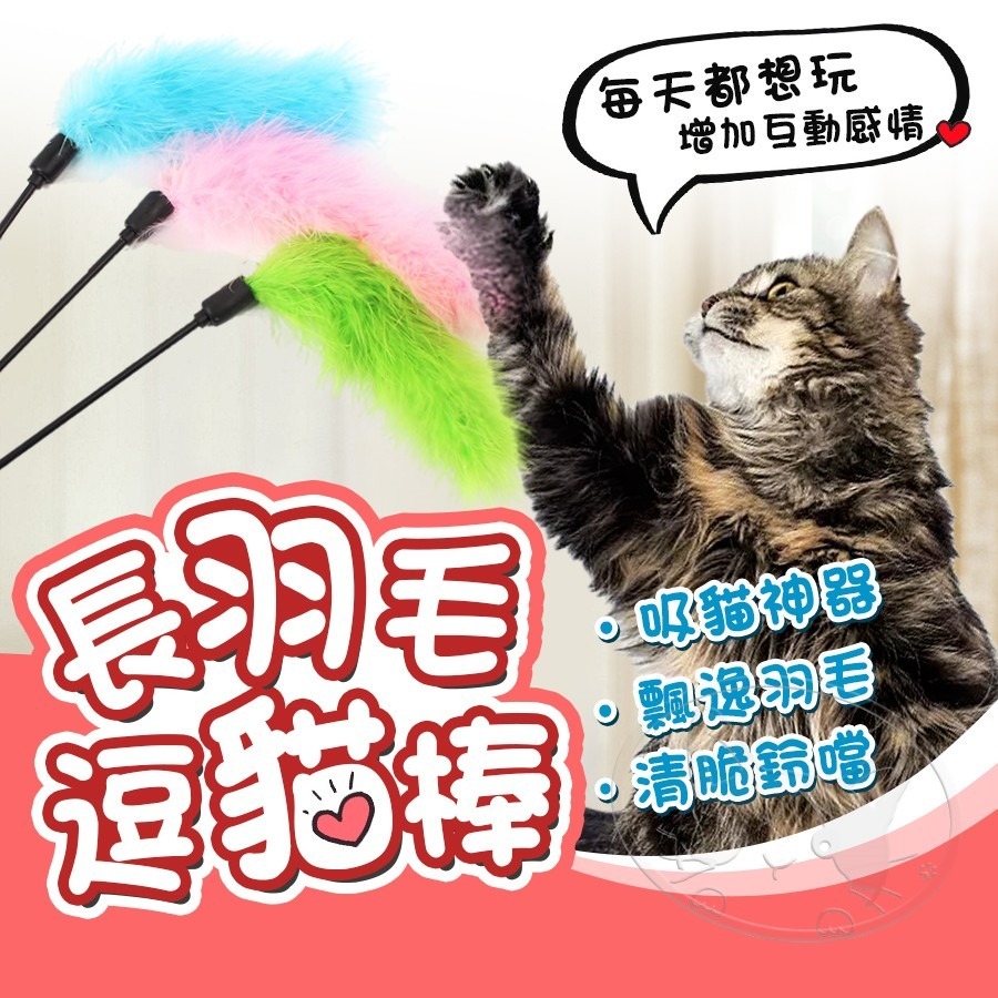 【WangLife】長羽毛短桿逗貓棒 逗貓玩具 貓咪玩具 羽毛逗貓棒 貓玩具 貓紓壓 逗貓棒-細節圖3