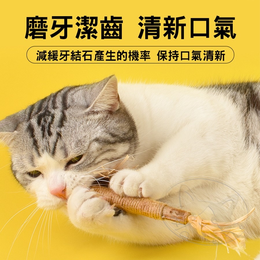 【WangLife】木天蓼拉菲草自嗨逗貓棒 逗貓棒 貓玩具 木天蓼棒 自嗨逗貓棒 寵物玩具-細節圖10