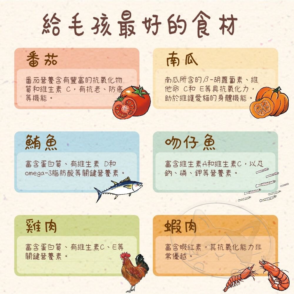 【旺生活】VOSTO 鮮雞肉罐 貓咪機能罐  80G 膠汁罐 貓咪最愛 副食罐 貓罐-細節圖5