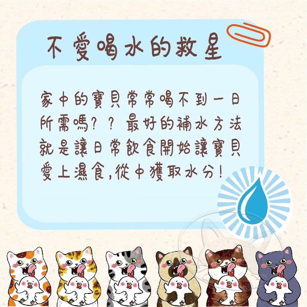 【旺生活】VOSTO 鮮雞肉罐 貓咪機能罐  80G 膠汁罐 貓咪最愛 副食罐 貓罐-細節圖8