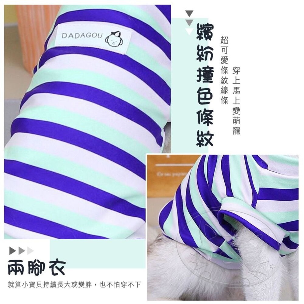 【旺生活】彩條兩腿衣 寵物衣服 寵物兩腿衣 貓咪衣服 毛孩衣服 毛孩保暖 毛孩時尚 寵物條紋衣-細節圖6