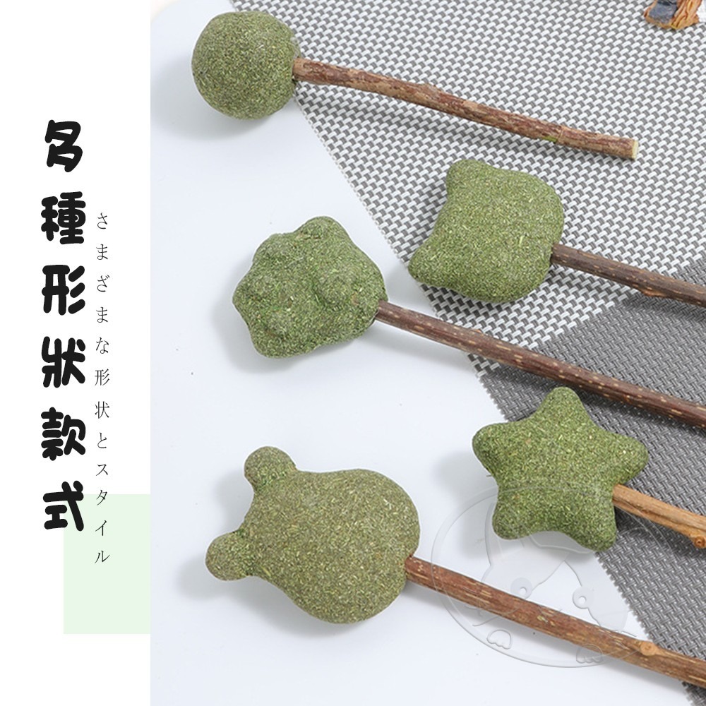 【WangLife】貓薄荷木天蓼棒棒糖 木天蓼 木天蓼棒 貓草球 貓草 貓咪用品 貓薄荷球 貓薄荷草 貓薄荷 貓薄荷-細節圖4