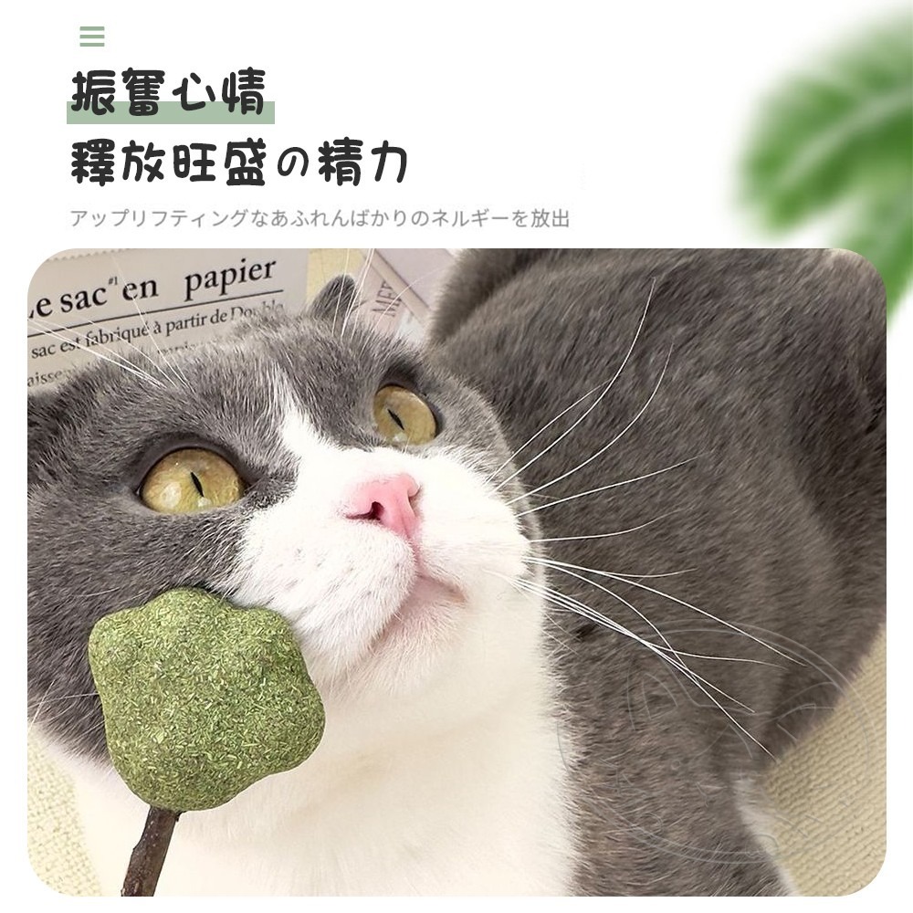 【WangLife】貓薄荷木天蓼棒棒糖 木天蓼 木天蓼棒 貓草球 貓草 貓咪用品 貓薄荷球 貓薄荷草 貓薄荷 貓薄荷-細節圖6