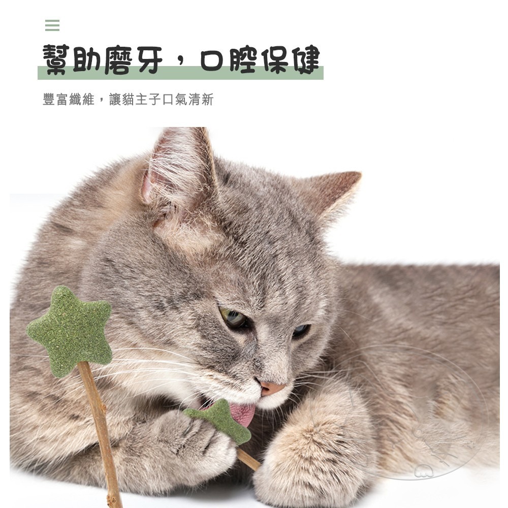 【WangLife】貓薄荷木天蓼棒棒糖 木天蓼 木天蓼棒 貓草球 貓草 貓咪用品 貓薄荷球 貓薄荷草 貓薄荷 貓薄荷-細節圖7