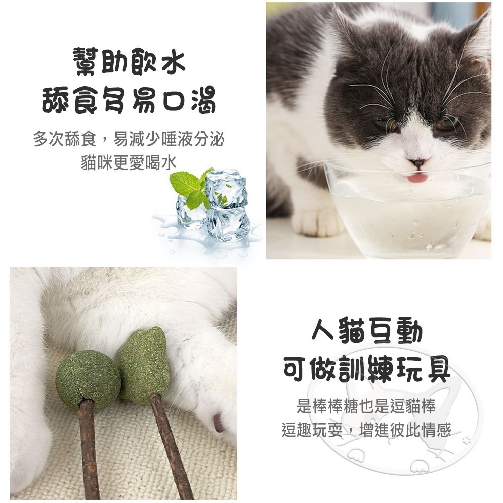 【WangLife】貓薄荷木天蓼棒棒糖 木天蓼 木天蓼棒 貓草球 貓草 貓咪用品 貓薄荷球 貓薄荷草 貓薄荷 貓薄荷-細節圖9