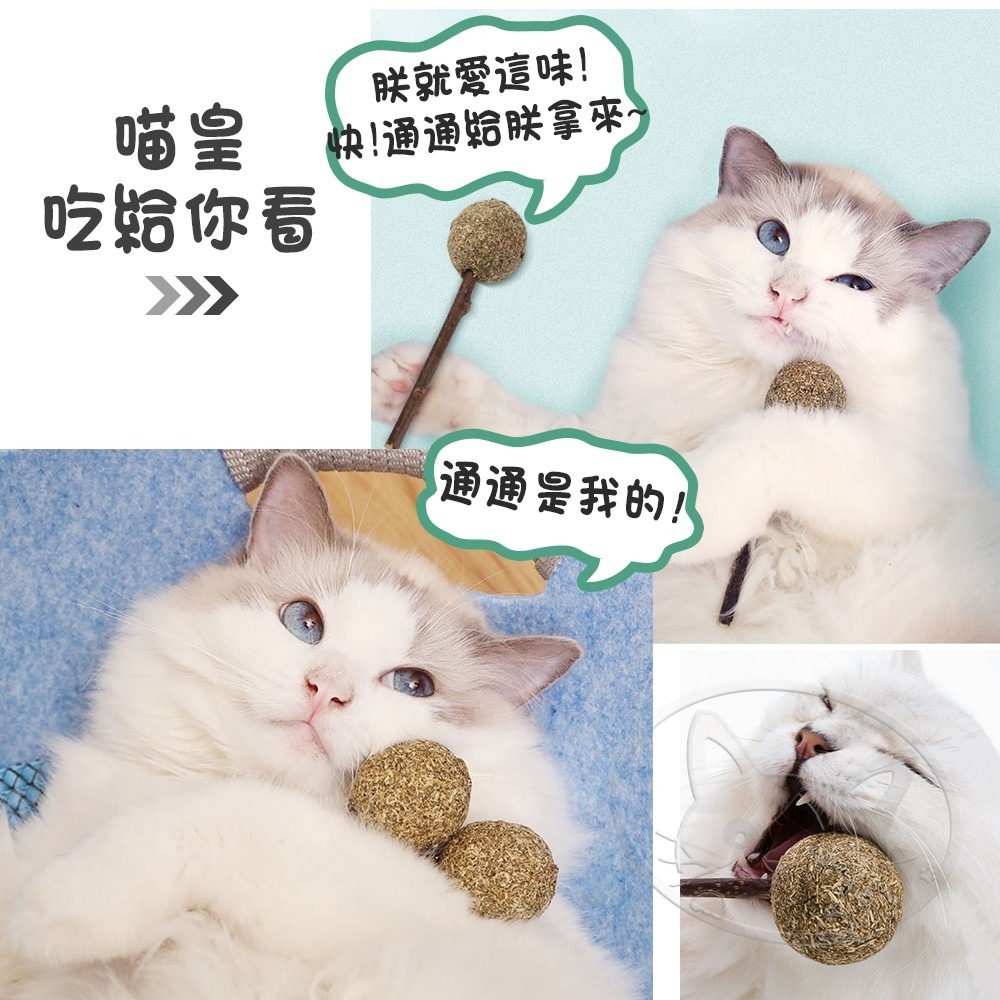 【WangLife】貓薄荷木天蓼棒棒糖 木天蓼 木天蓼棒 貓草球 貓草 貓咪用品 貓薄荷球 貓薄荷草 貓薄荷 貓薄荷-細節圖11