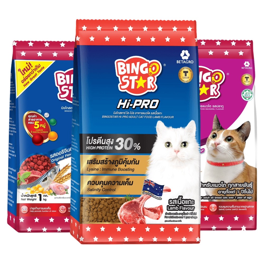 【WangLife】喵斯塔 美味成貓糧&高蛋白成貓糧 寵物飼料 貓飼料 貓乾糧-細節圖2