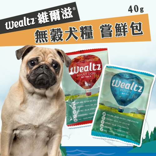 【WangLife】Wealtz 維爾滋 ∣嚐鮮包∣ 40g 天然無穀犬飼料 韓國品牌飼料 寵物飼料 狗糧