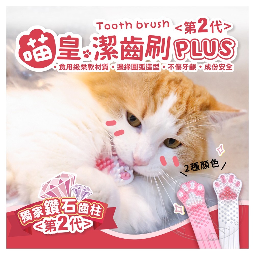 【WangLife】RIGOROS 喵皇潔齒刷 貓咪牙刷 磨牙棒 逗貓棒 按摩梳 寵物牙刷 口腔保健-細節圖3
