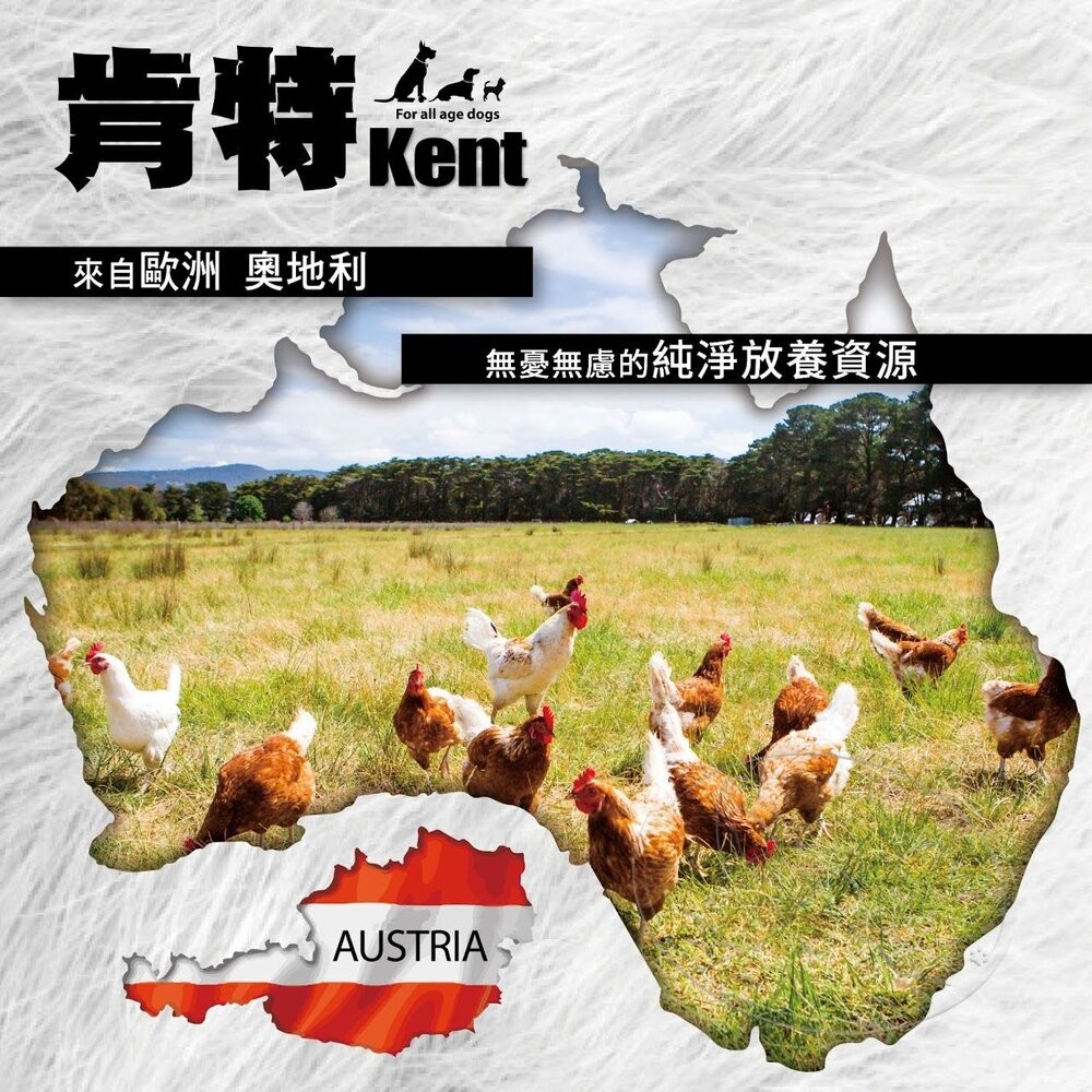 【旺生活】奧地利 Kent 肯特 箱購專區 20罐/箱 狗罐頭 主食罐 肯特狗罐 罐頭-細節圖7
