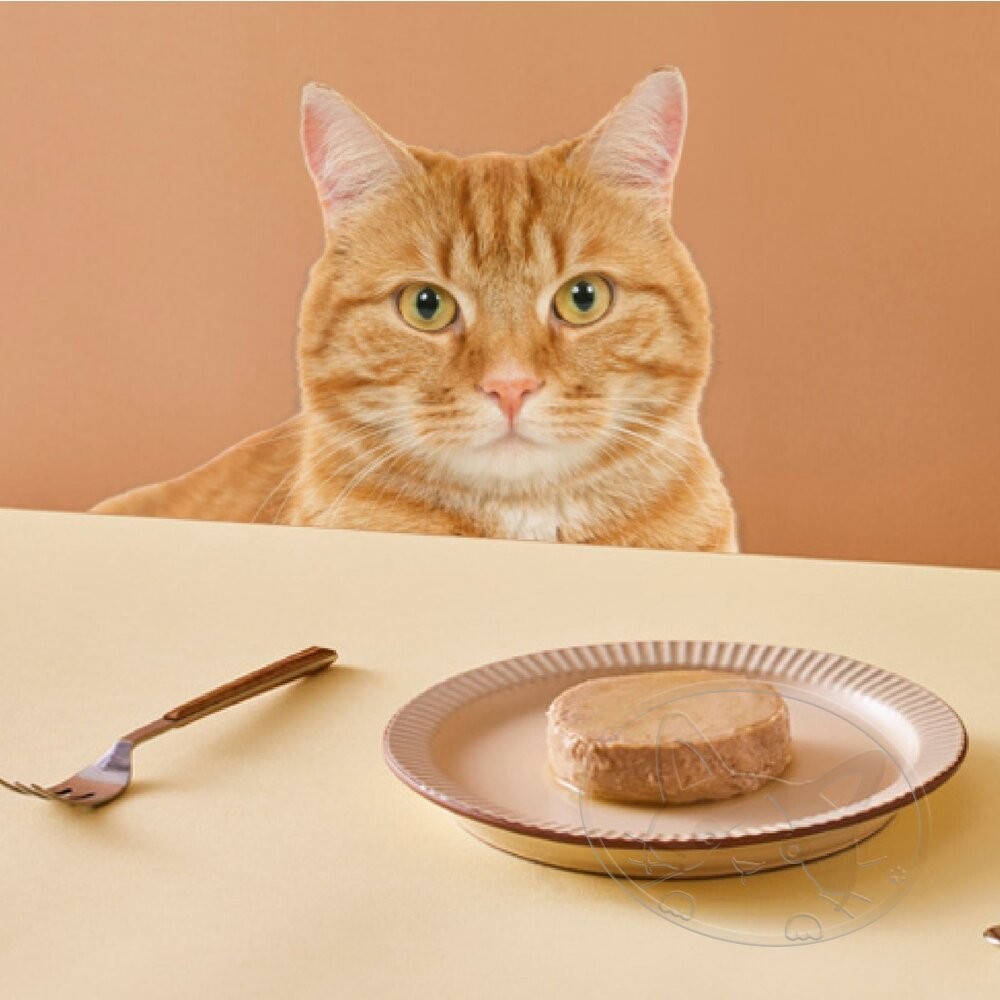 【旺生活】毛孩舟舟 開罐罐罐 ! 肉泥貓主食罐 80g 【箱購24入組】貓罐頭 貓主食罐-細節圖9