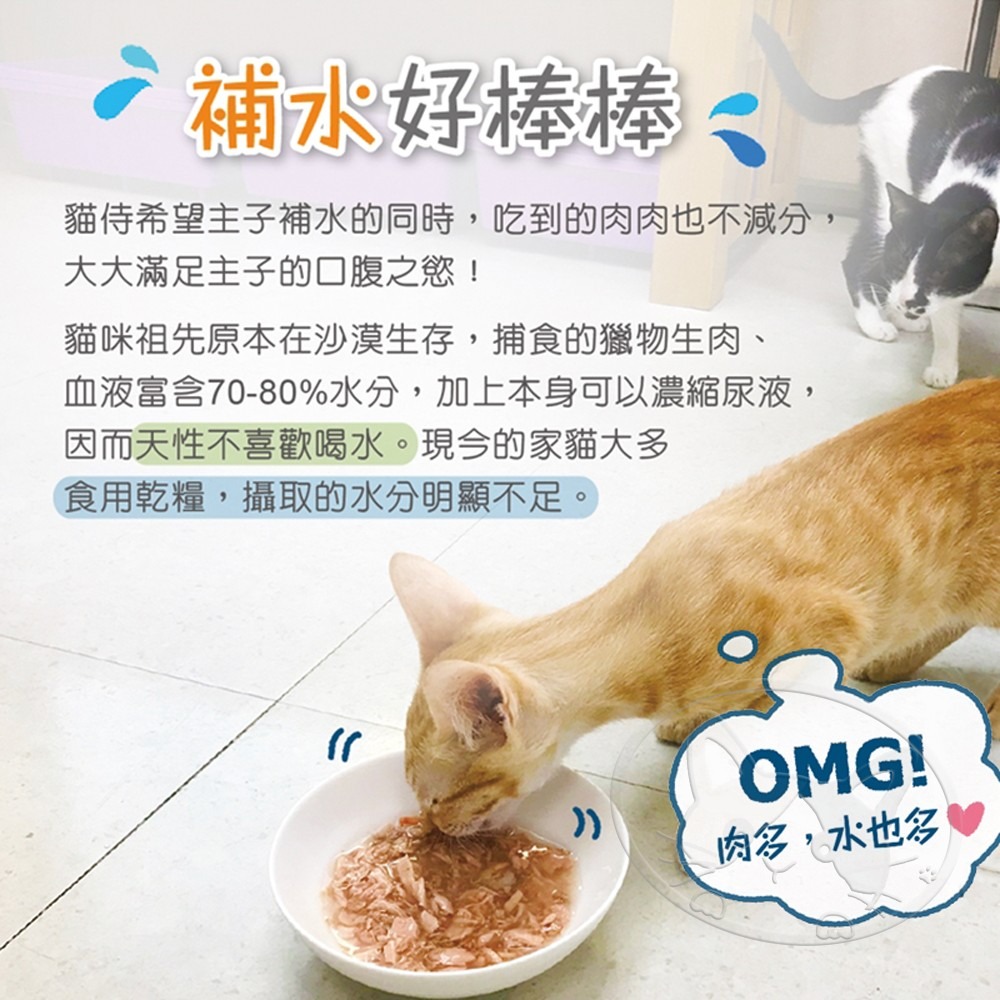 【WangLife】貓侍Catpool 升級版馬卡龍罐 85g【整箱24入】貓湯罐 貓罐頭 低磷無穀無膠-細節圖5