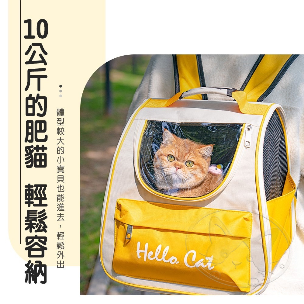 【WangLife】Hello Cat 外出寵物包 貓咪外出包 狗外出包 狗外出 寵物外出包 寵物後背包-細節圖9