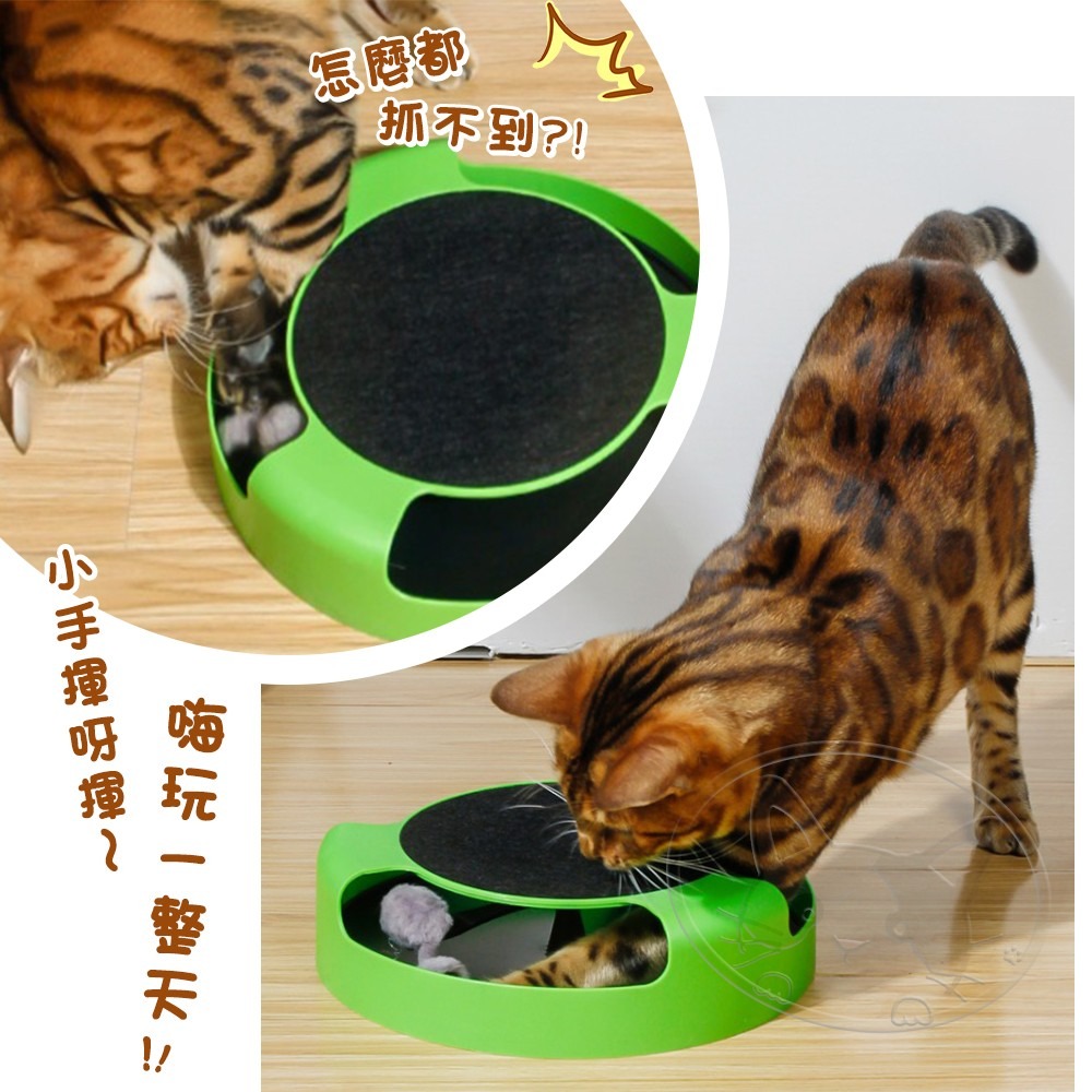 【WangLife】無影小老鼠旋轉貓轉盤 老鼠轉盤 貓轉盤 貓玩具 逗貓玩具 寵物玩具  貓咪轉盤-細節圖9