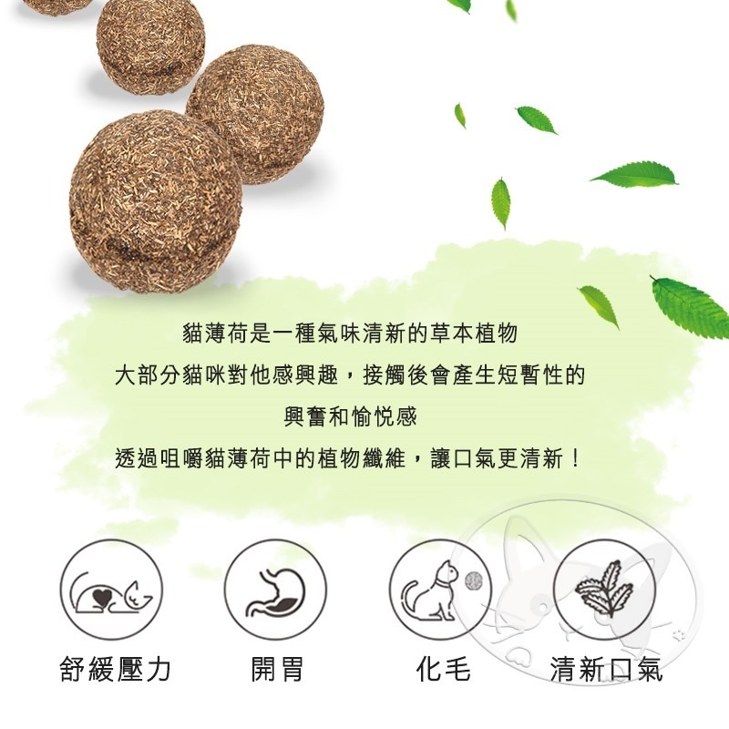 【WangLife】貓薄荷球 滾滾球 木天蓼 貓玩具 貓用大力丸 營養能量球 貓薄荷 逗貓球 貓草球-細節圖10