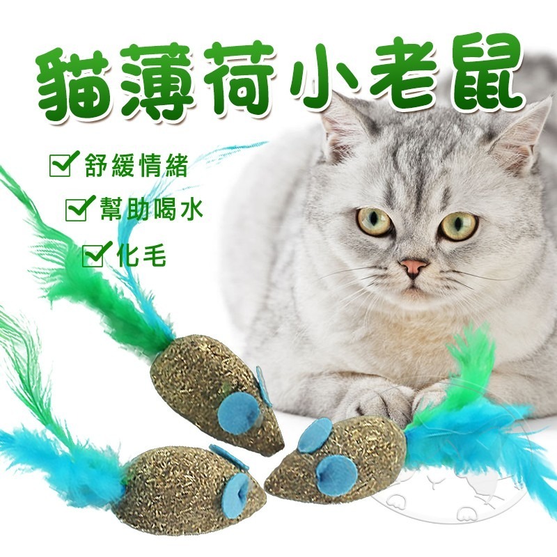 【WangLife】貓薄荷球 羽毛小老鼠 木天蓼 貓玩具 貓用大力丸 營養能量球 貓薄荷 逗貓球 貓草球-細節圖3