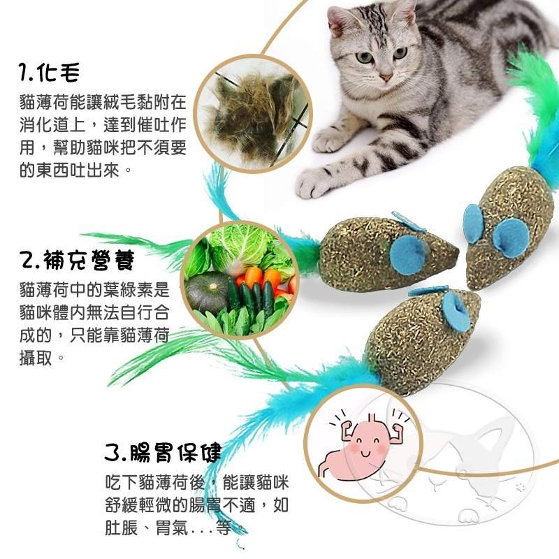 【WangLife】貓薄荷球 羽毛小老鼠 木天蓼 貓玩具 貓用大力丸 營養能量球 貓薄荷 逗貓球 貓草球-細節圖5