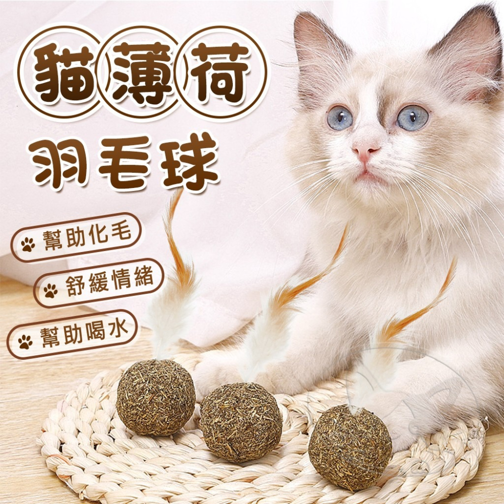 【WangLife】貓薄荷球 滾滾羽毛球 木天蓼 貓玩具 貓用大力丸 營養能量球 貓薄荷 逗貓球 貓草球-細節圖3