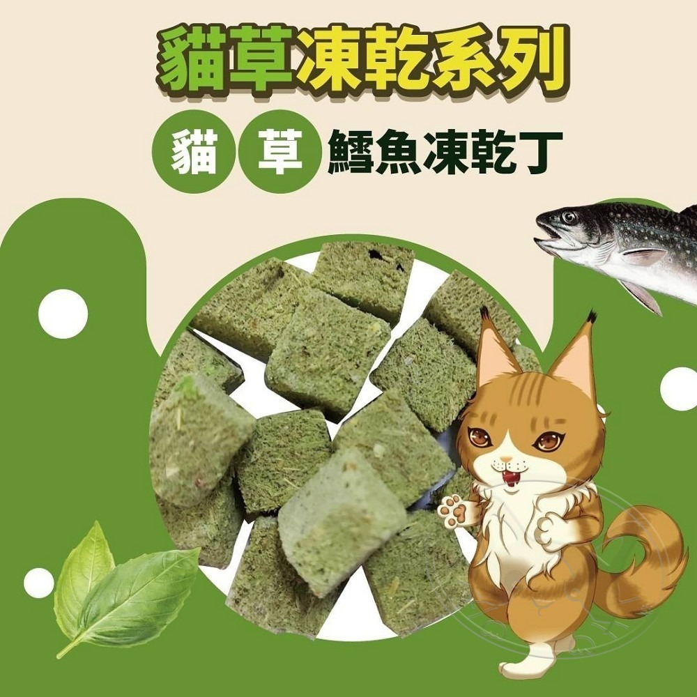 【WangLife】Cat Glory 驕傲貓 貓草系凍乾 貓草凍乾丁 凍乾零食  貓咪凍乾-細節圖5