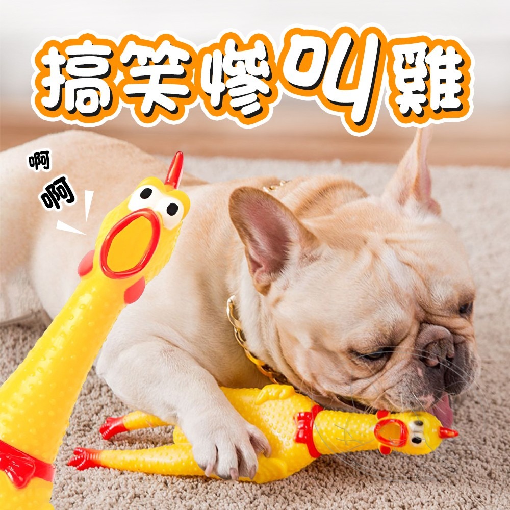 【WangLife】尖叫雞 慘叫雞 咕咕雞 紓壓小物 減壓玩具 發洩玩具 寵物玩具 嚇人玩具 怪叫雞-細節圖3
