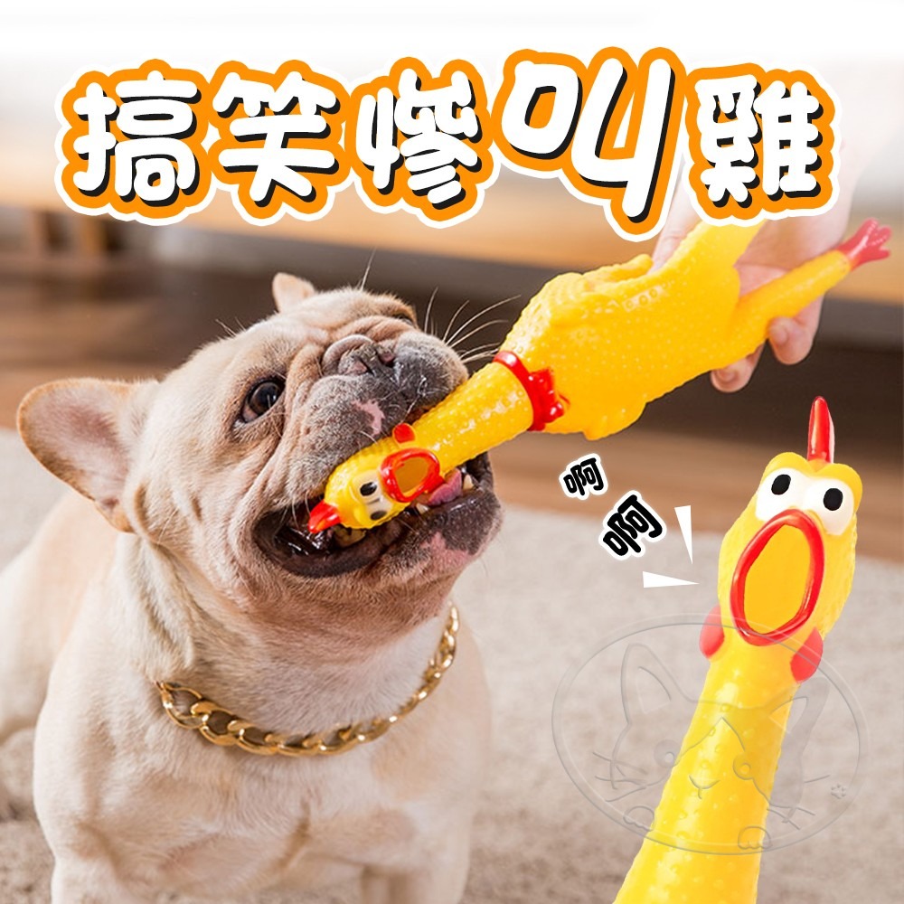 【WangLife】尖叫雞 慘叫雞 咕咕雞 紓壓小物 減壓玩具 發洩玩具 寵物玩具 嚇人玩具 怪叫雞-細節圖4