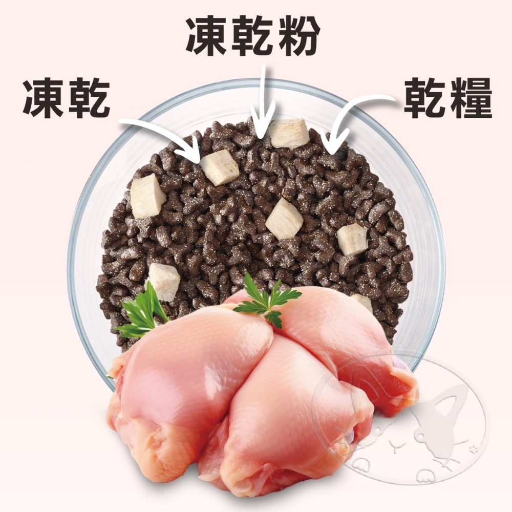 【WangLife】喵探長 派大雞 / 邁香魚 無穀凍乾全齡貓糧︱300g/1.5kg︱凍乾貓糧 貓飼料-細節圖8