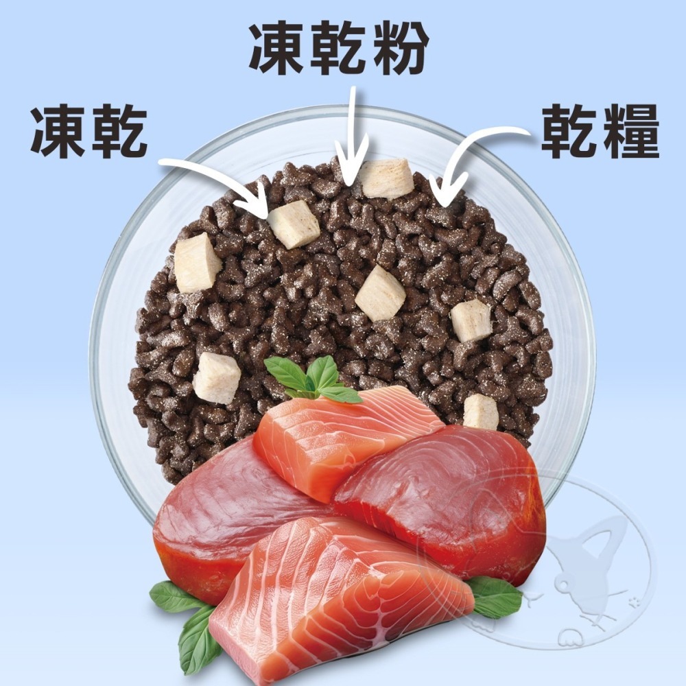 【WangLife】喵探長 派大雞 / 邁香魚 無穀凍乾全齡貓糧︱300g/1.5kg︱凍乾貓糧 貓飼料-細節圖9