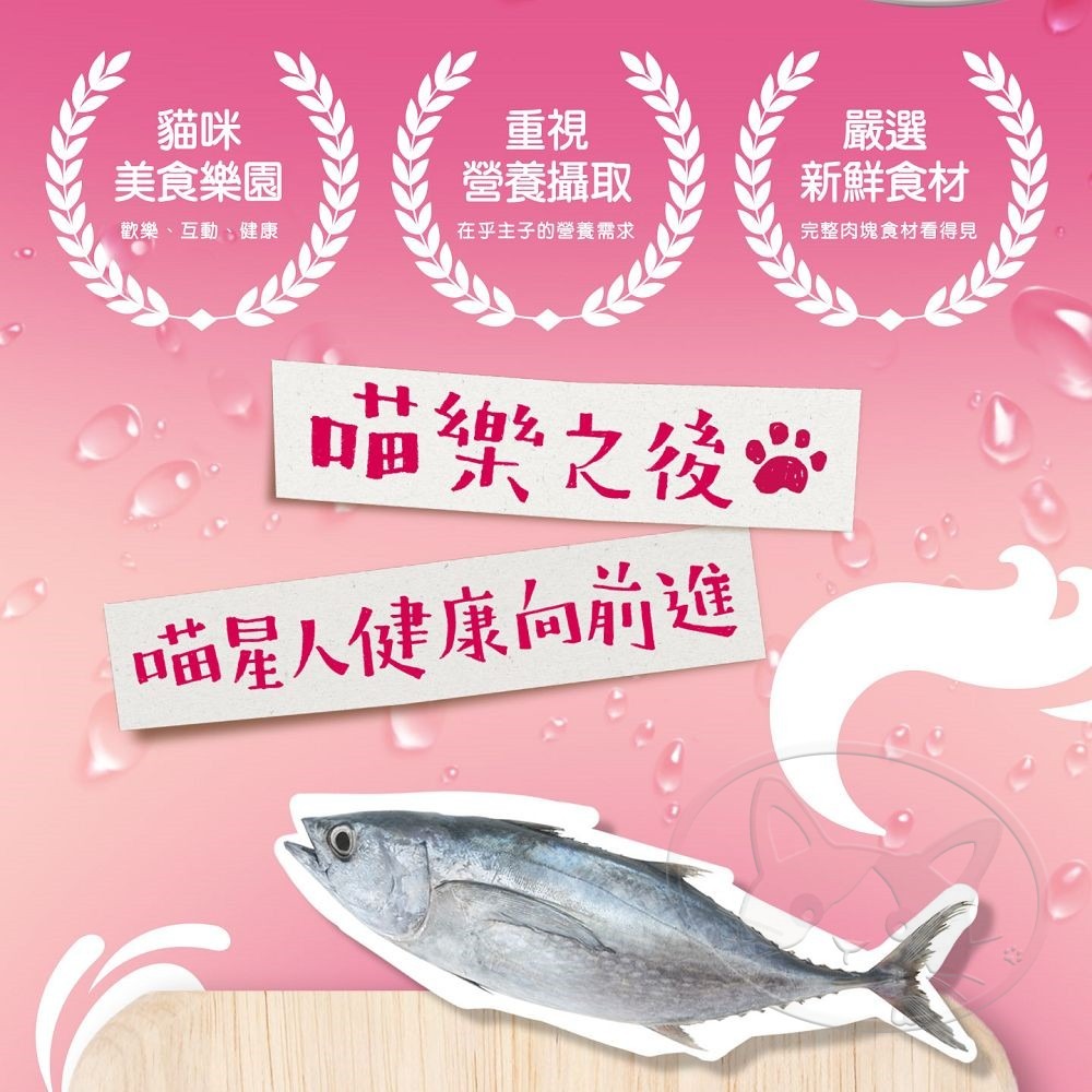 【WangLife】喵樂 M＇DARYN 主食罐系列(160g) 鮪魚燒 主食罐 貓罐頭 鮪魚罐 貓咪罐頭-細節圖8