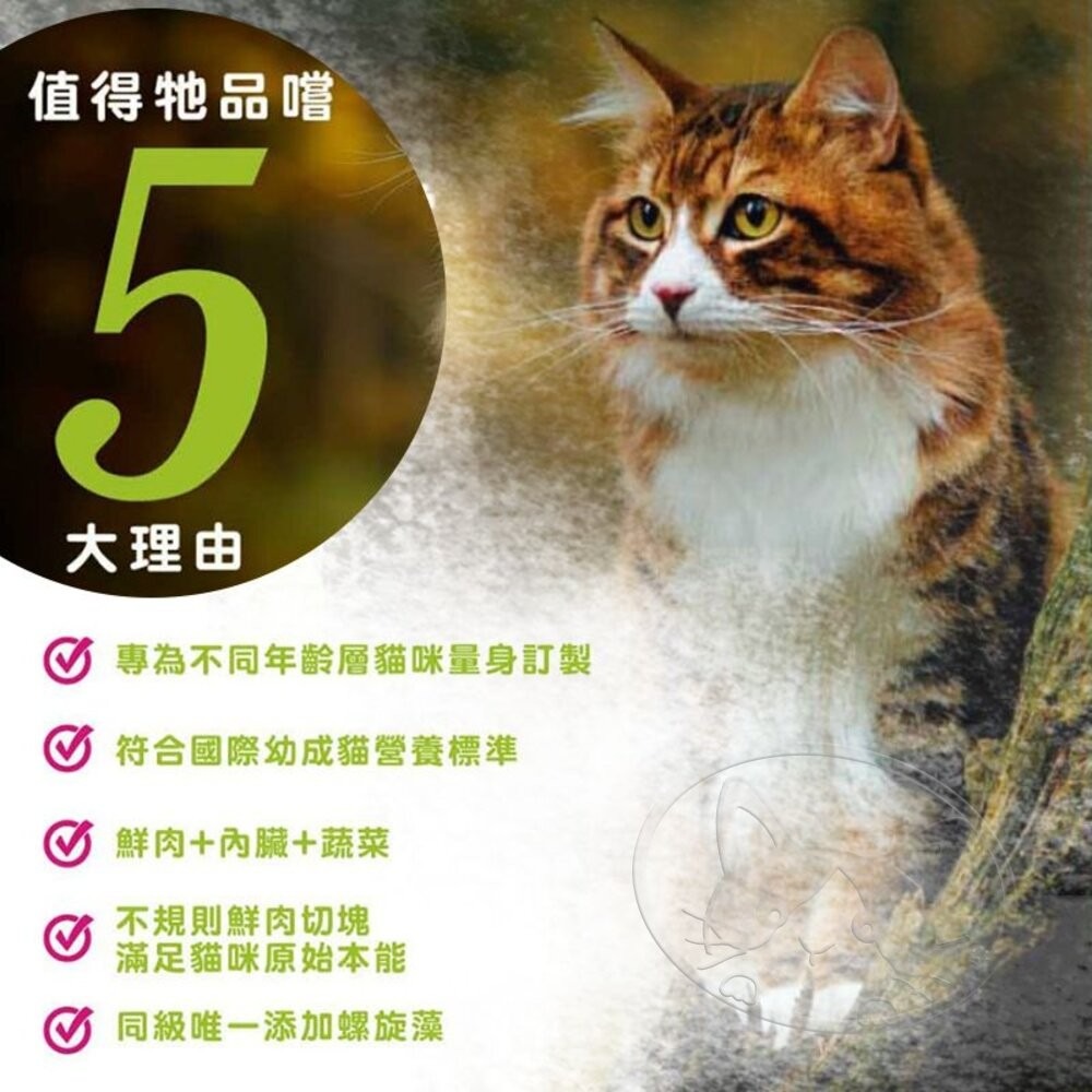 【旺生活】瑪恩吉 Monge 真野無榖主食貓餐包 85g 螺旋藻 木寡糖 貓補水 濕糧 貓餐包-細節圖4