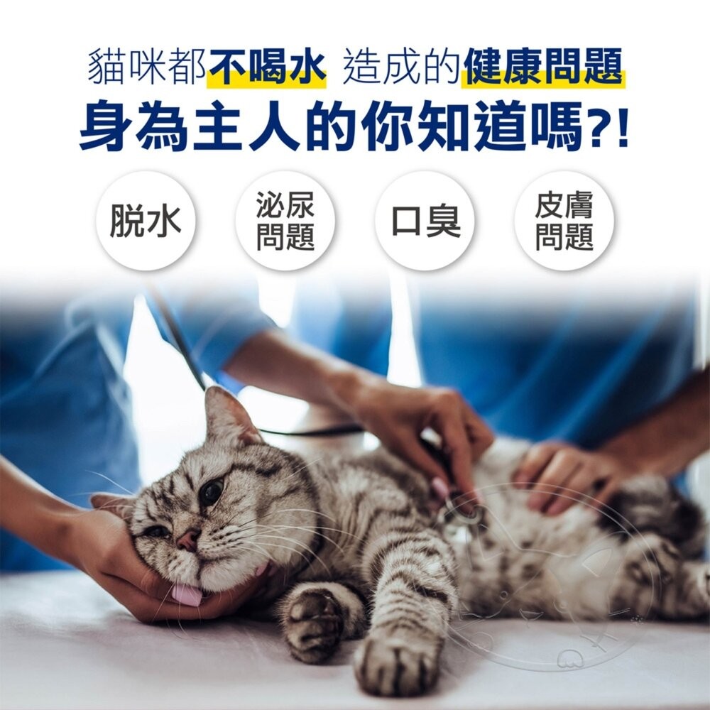 【旺生活】德國 Vitakraft SouPURR 喵湯寶貓餐包 50g 貓餐包 貓罐 貓補水 貓補水罐-細節圖8