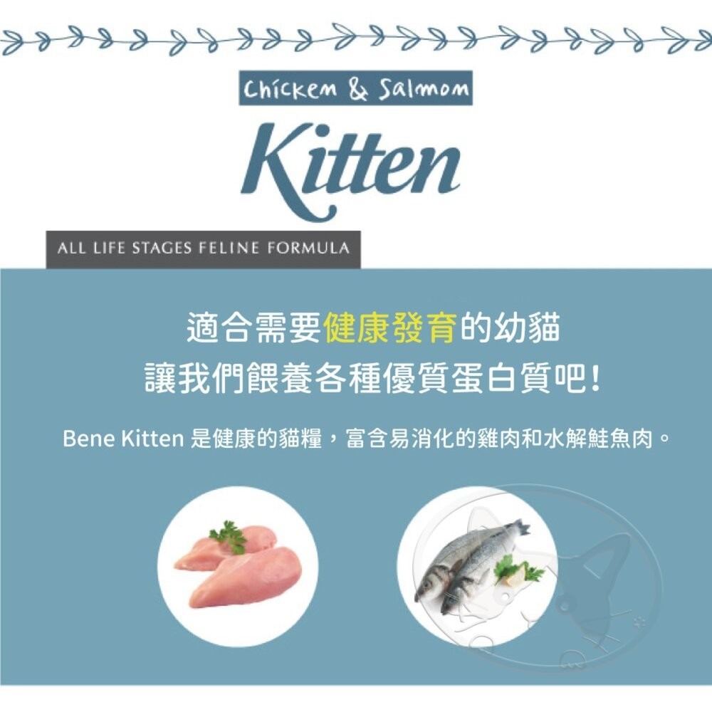 【旺生活】韓國 NATURAL CORE 自然核心 bene低敏水解蛋白貓糧 貓糧 貓飼料 水解飼料-細節圖9
