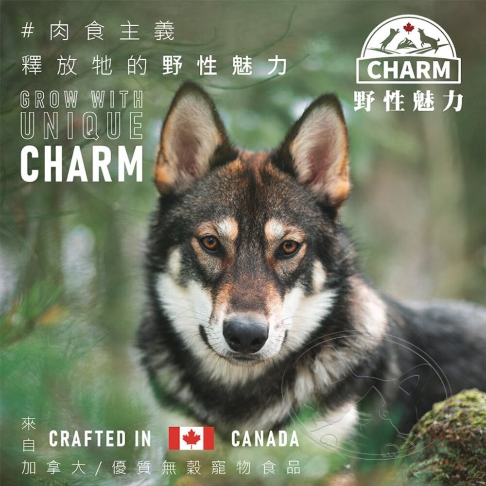 【旺生活】CHARM 野性魅力 犬糧 狗飼料 幼犬/成犬/海陸/羊肉/鮭魚｜分裝包500g-細節圖5