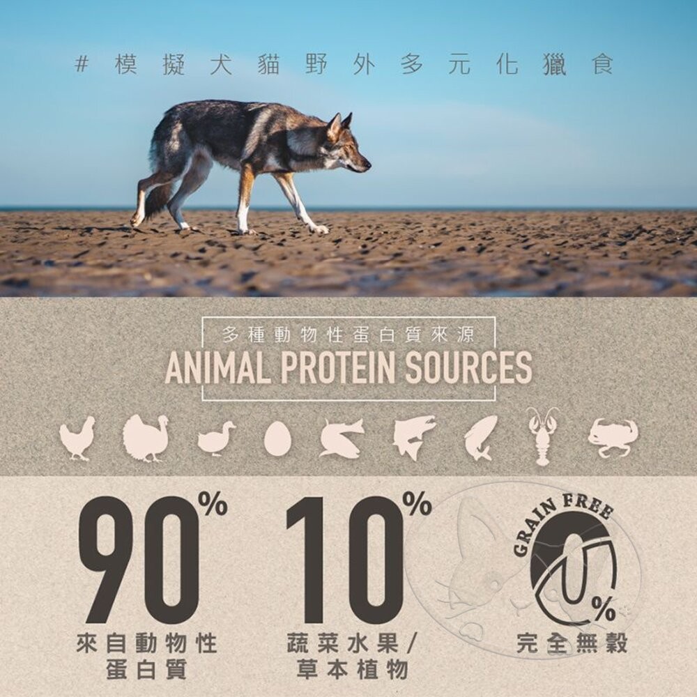 【旺生活】CHARM 野性魅力 犬糧 狗飼料 幼犬/成犬/海陸/羊肉/鮭魚｜分裝包500g-細節圖6