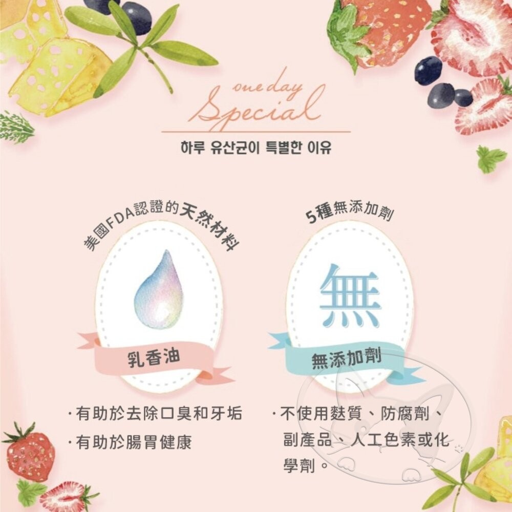 【旺生活】韓國 NATURAL CORE 自然核心 每日乳酸菌潔牙棒(3入6入) 狗零食 潔牙棒-細節圖10