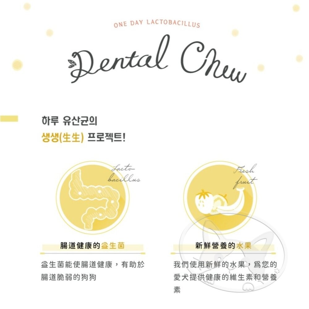 【旺生活】韓國 NATURAL CORE 自然核心 每日乳酸菌潔牙棒(3入6入) 狗零食 潔牙棒-細節圖11