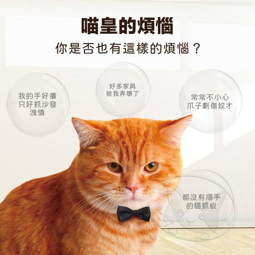 【旺生活】卡通熊頭造型瓦楞貓抓板 造型貓抓板 瓦楞貓抓板 貓抓板-細節圖3