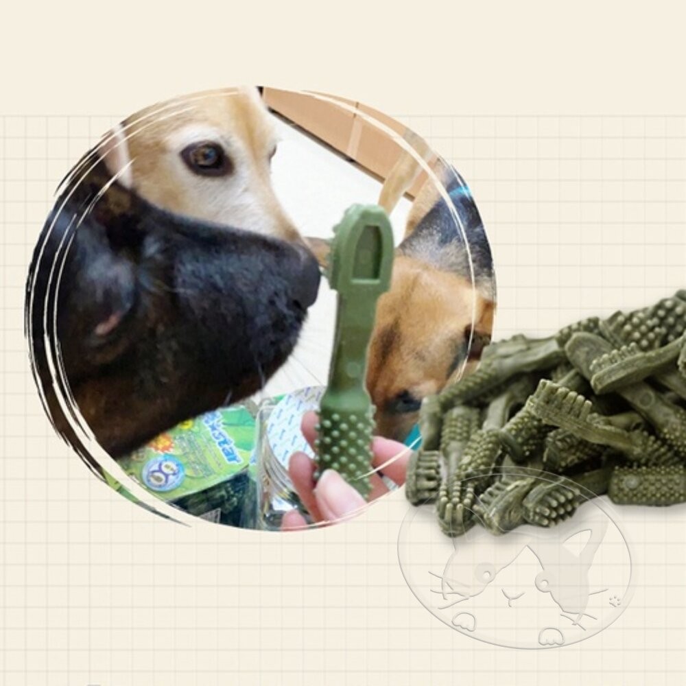 【旺生活】A Star 多效雙頭潔牙骨 9g/單支 狗潔牙 狗點心 狗零食 潔牙骨 狗潔牙骨 潔牙骨-細節圖7