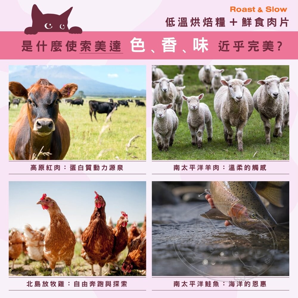 【旺生活】SOULMATE 索美達 紐西蘭低溫烘焙糧+鮮食肉片 貓糧 40G 貓糧 貓飼料 貓肉片-細節圖9